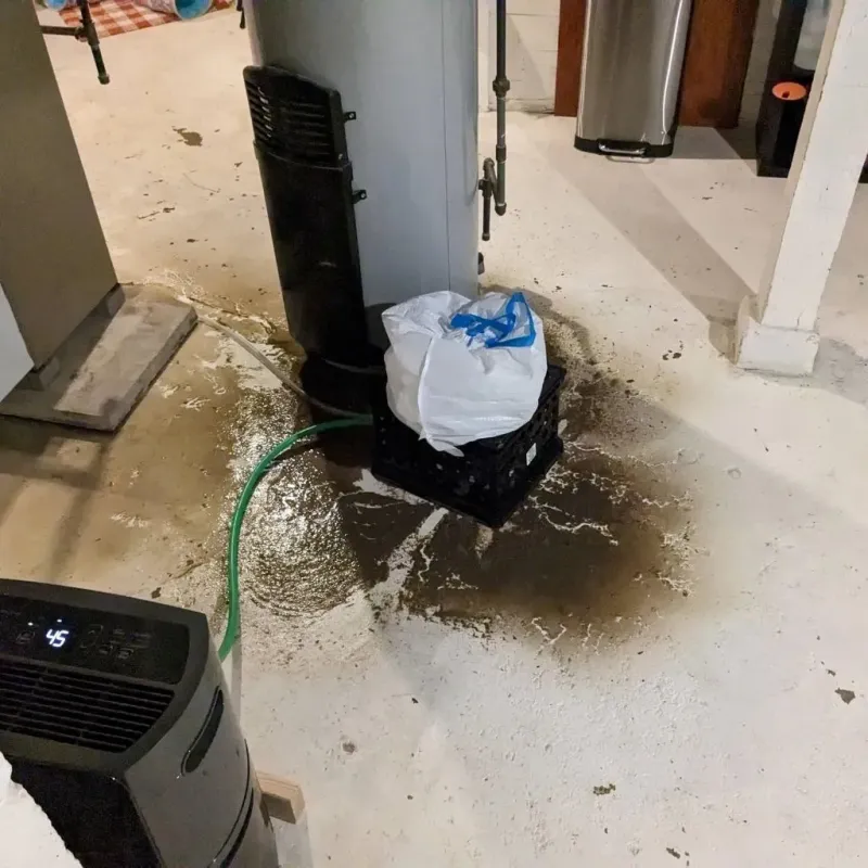 Sewage Backup Cleanup Service in Ontario County, NY